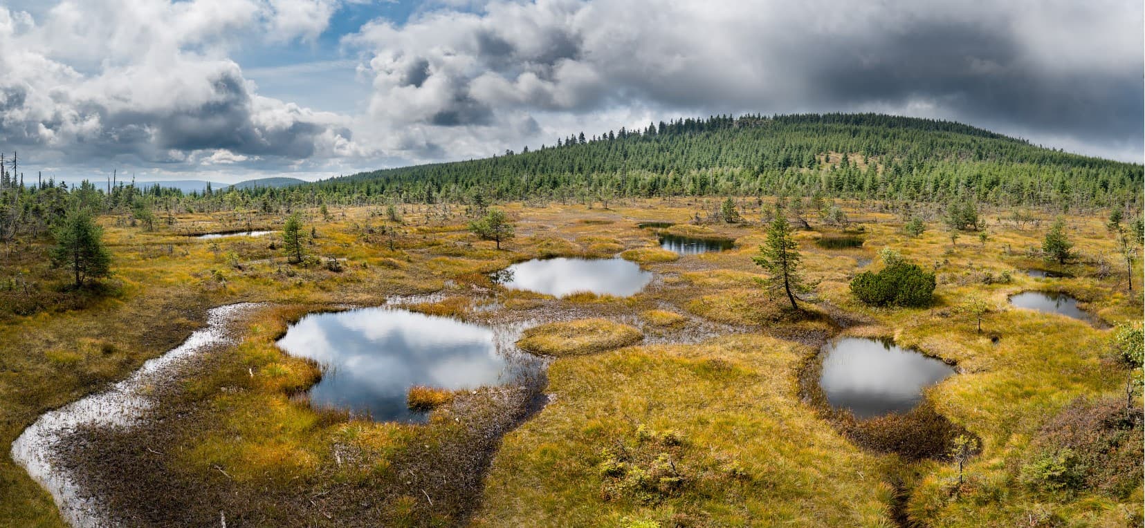 THE HIDDEN MARSHES OF JIZERA MOUNTAINS