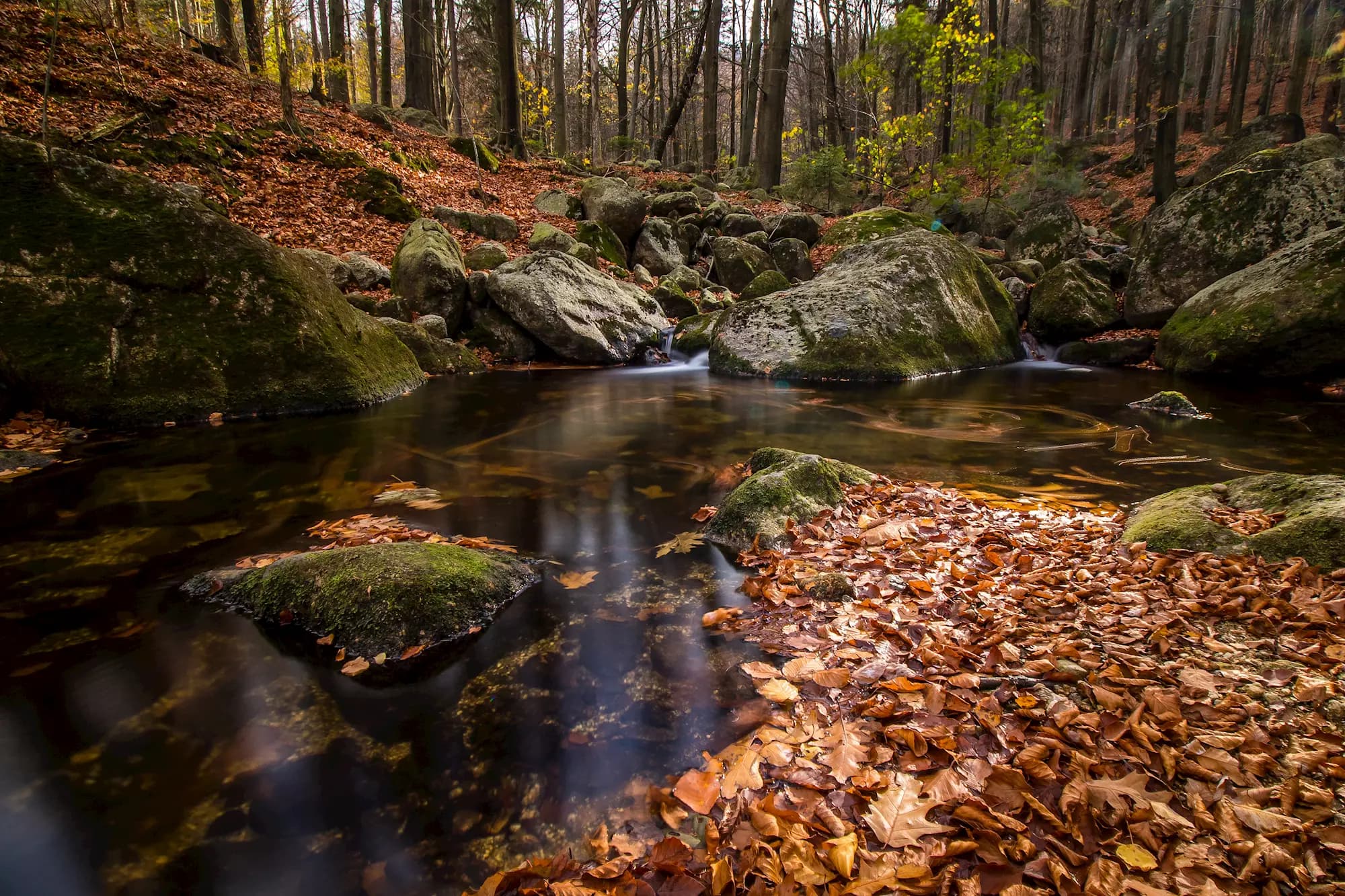 Bohemian Paradise Landscape